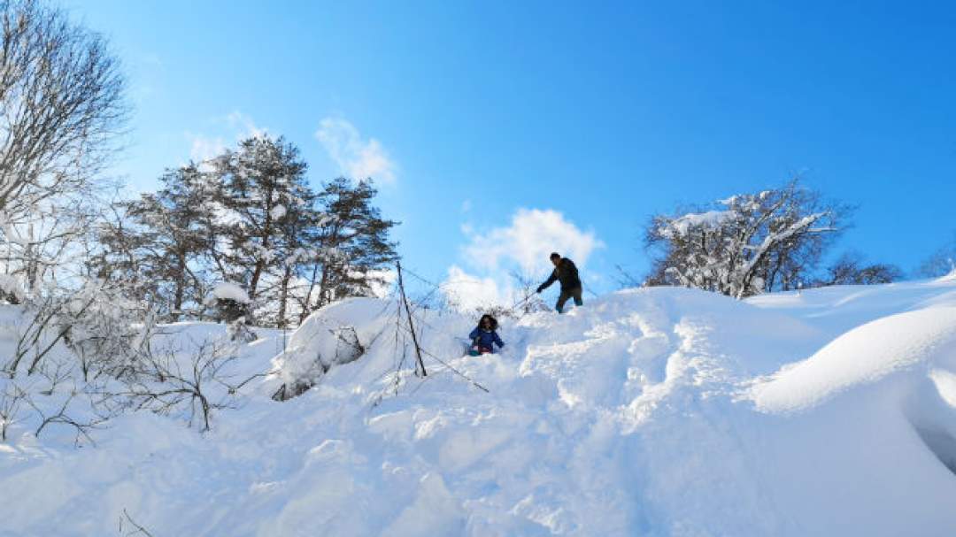 裏磐梯 スノーシュー体験 ダッチオーブンランチ付 雪満喫1日コース の予約 Outdoor Sports Club Bacss 福島県裏磐梯 磐梯 高原 シェアベースマッチング 地域の体験プラン イベント 商品のwebマッチングサイト