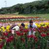 伊江村リリーフィールド公園