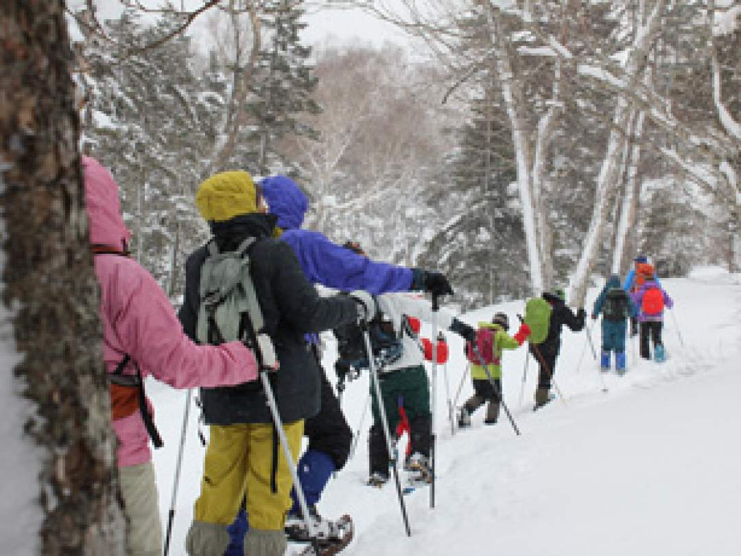 【要予約】檜枝岐の雪山を歩こう！絶景をのぞむスノーシューツアー！