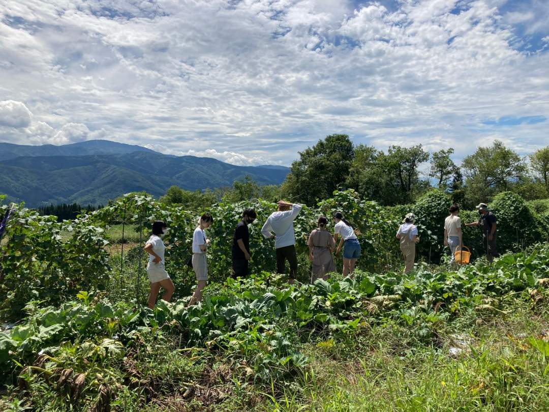 ピザ・シチュー用野菜を収穫・調理・試食体験！