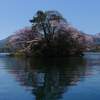 桜島