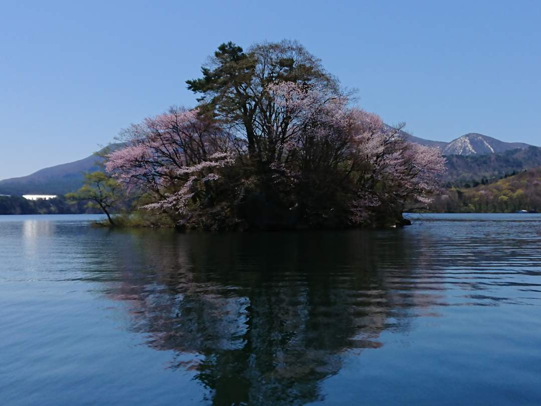 団体様大歓迎！ 桧原湖観光船島めぐり！