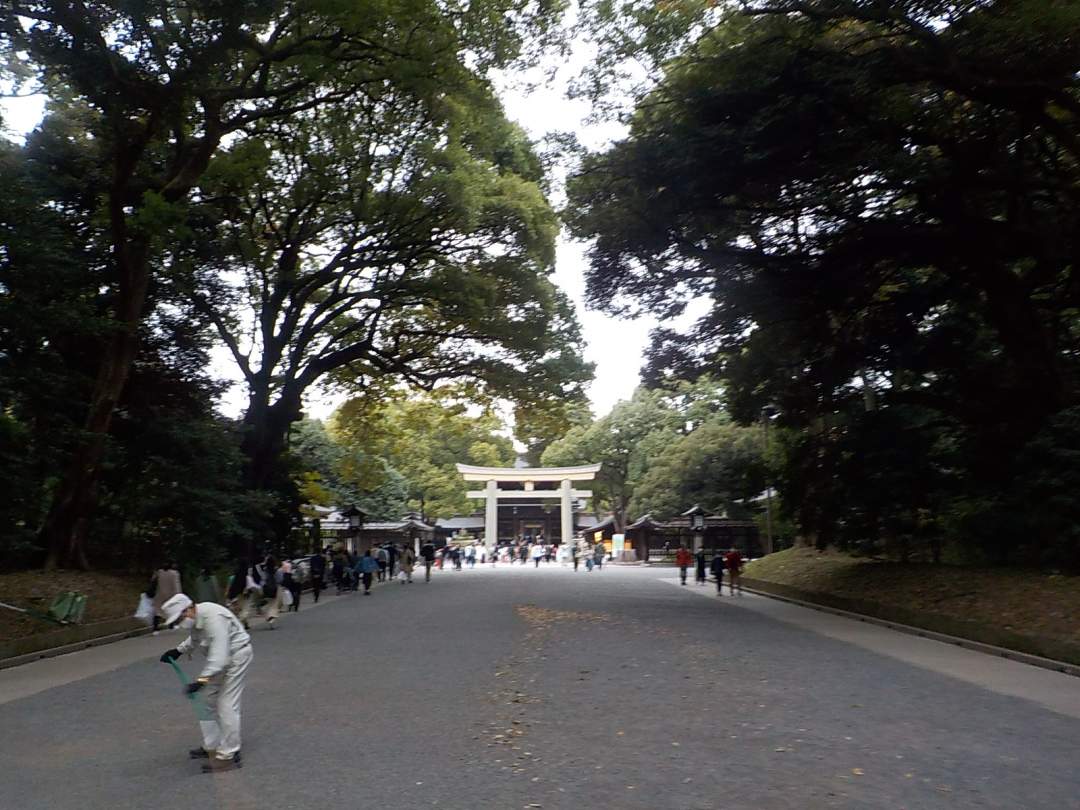 【東京・原宿】11/20（日）開催！明治神宮ウォーク＆紅葉パークヨガ