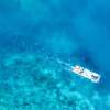 【沖縄・石垣島】驚くほどに透き通った石垣グリーンの海を堪能するCRUISING【全額返金保証】