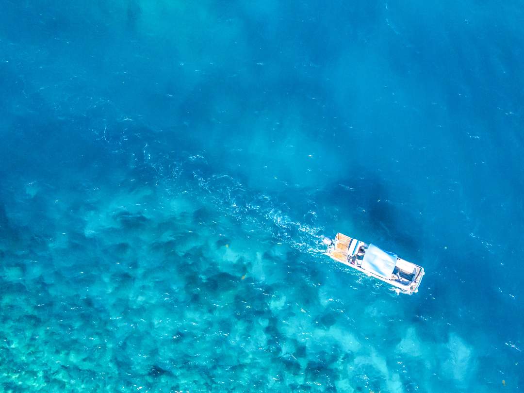 【沖縄・石垣島】驚くほどに透き通った石垣グリーンの海を堪能するCRUISING【全額返金保証】