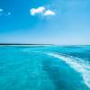 【沖縄・石垣島】驚くほどに透き通った石垣グリーンの海を堪能するCRUISING【全額返金保証】