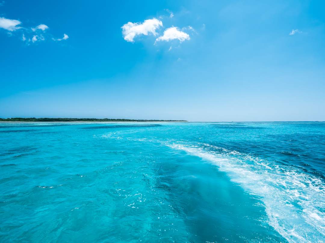 【沖縄・石垣島】驚くほどに透き通った石垣グリーンの海を堪能するCRUISING【全額返金保証】