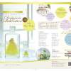 Designers Collaboration ５th　デザイナーズハーバリウム作品展示　デザイナーズハーバリウム  Cleans Flower   ソラフラワー  オルネフラワー　etc　各種ワークショップ