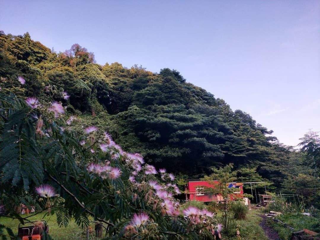 ハニーガーデン瑞梅寺