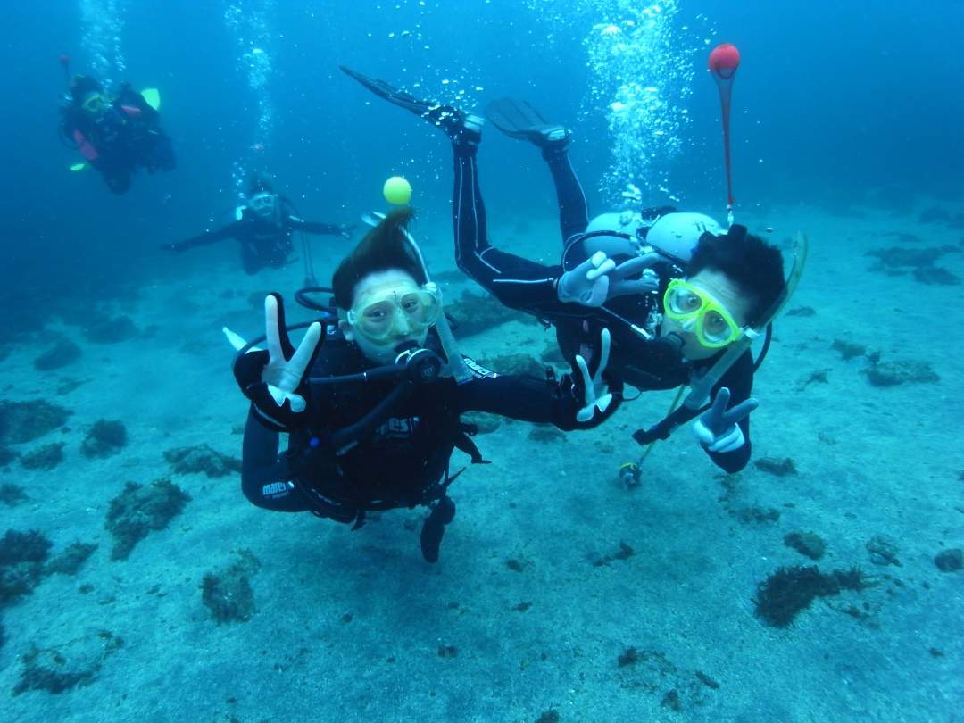 【神奈川・真鶴・体験ダイビング】海の世界を体験！水中の楽しさを知る体験ダイビング