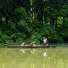 明け染めぬ霧幻峡で過ごす　水上の贅沢朝時間