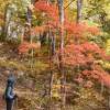 紅葉に染まる喰丸峠