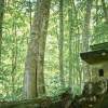 玉縄城の祠