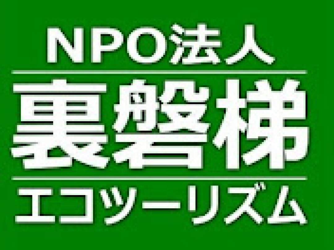 裏磐梯の自然を案内するガイドスタッフ