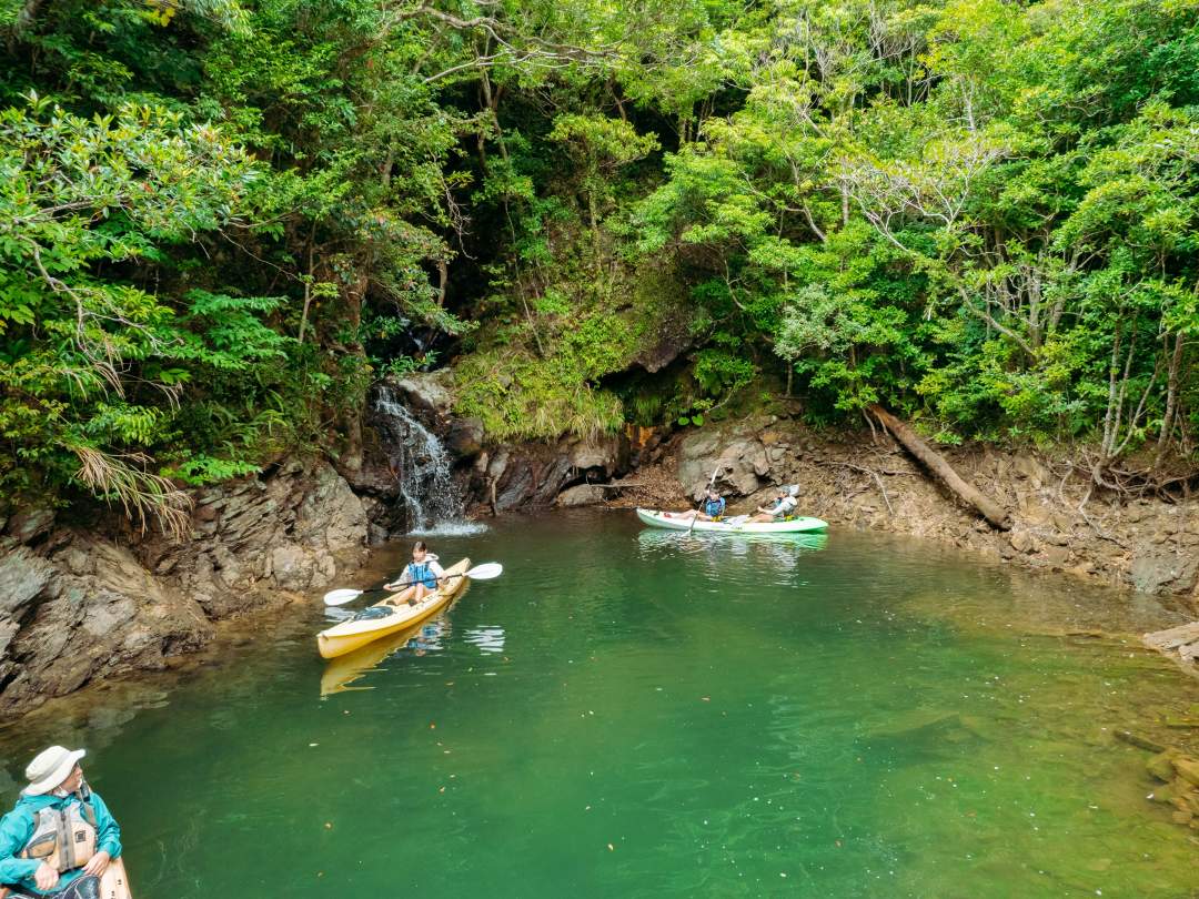 ＜沖縄・やんばる東村＞選べるフォトツアー　in 北部プレミアム～ドローンを組み合わせて＊オプションでダムカヤックも＊卒旅応援