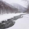 【群馬・みなかみ】初心者におすすめ！「西洋かんじき」で雪山プチ登山体験。