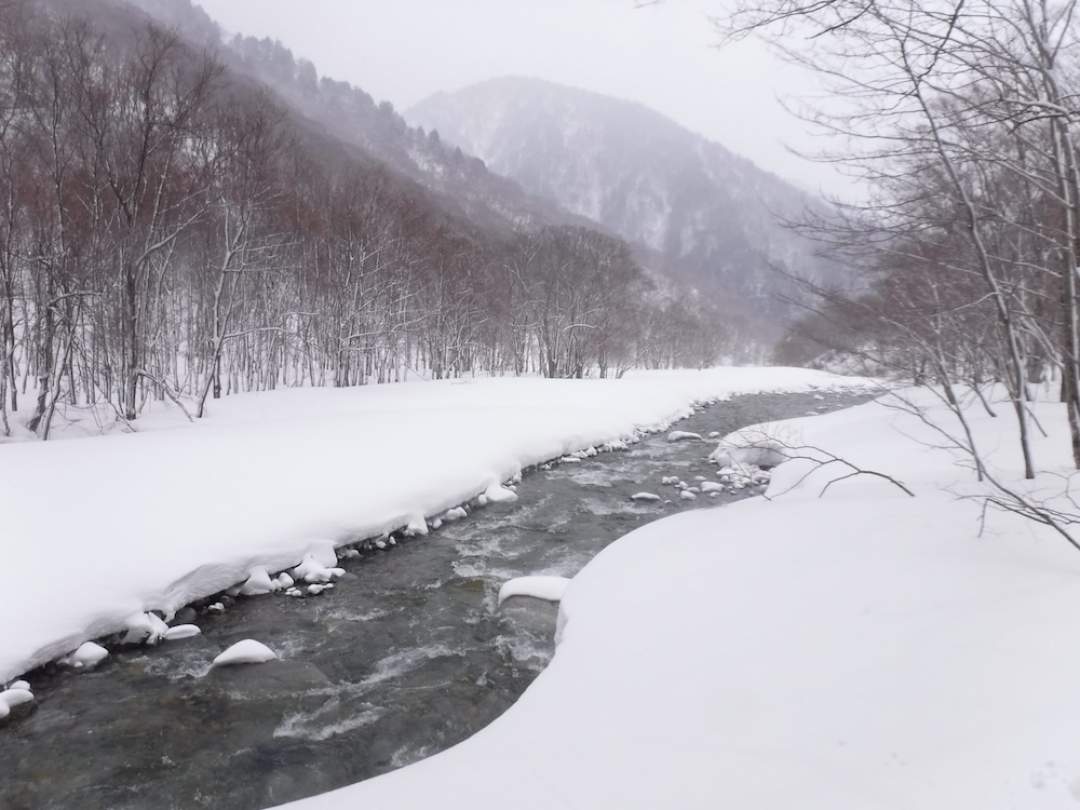 【群馬・みなかみ】初心者におすすめ！「西洋かんじき」で雪山プチ登山体験。