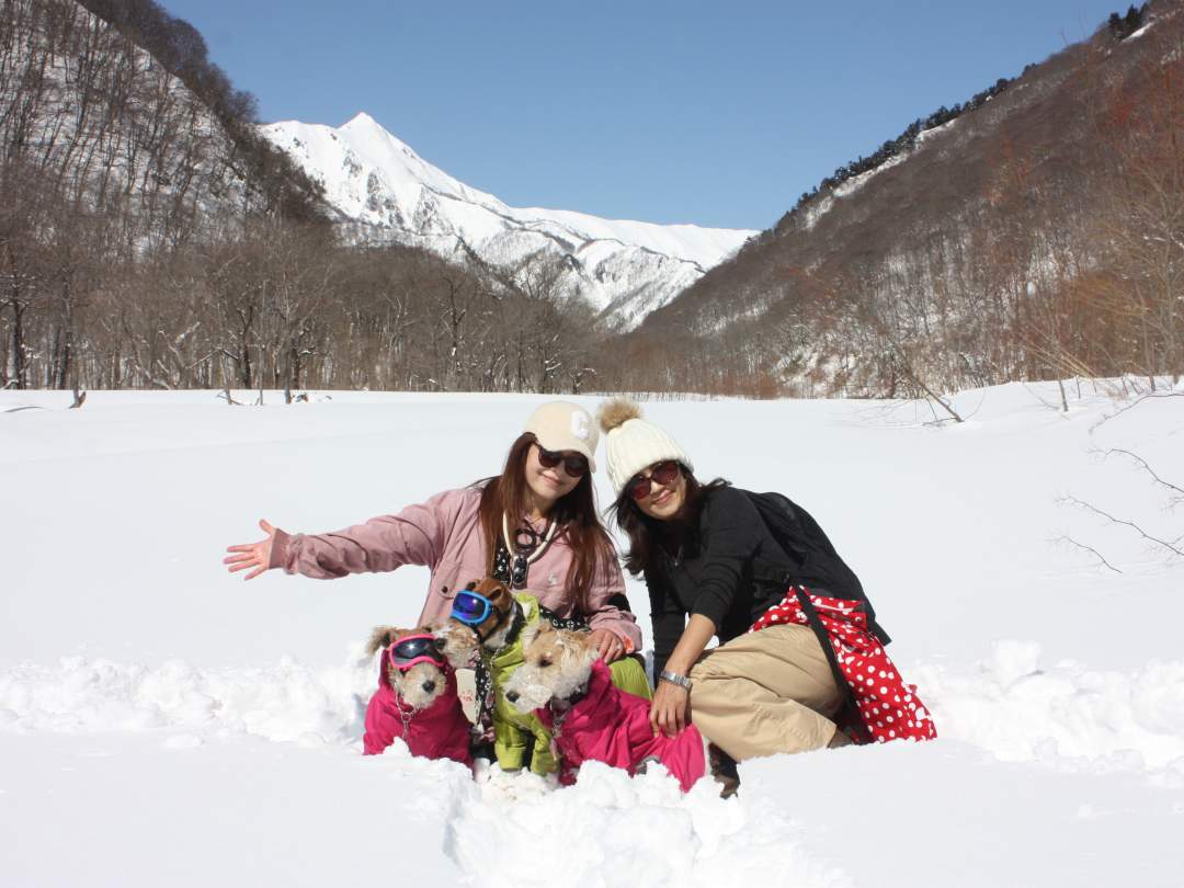 【群馬・みなかみ】みなかみスノートレッキングツアー