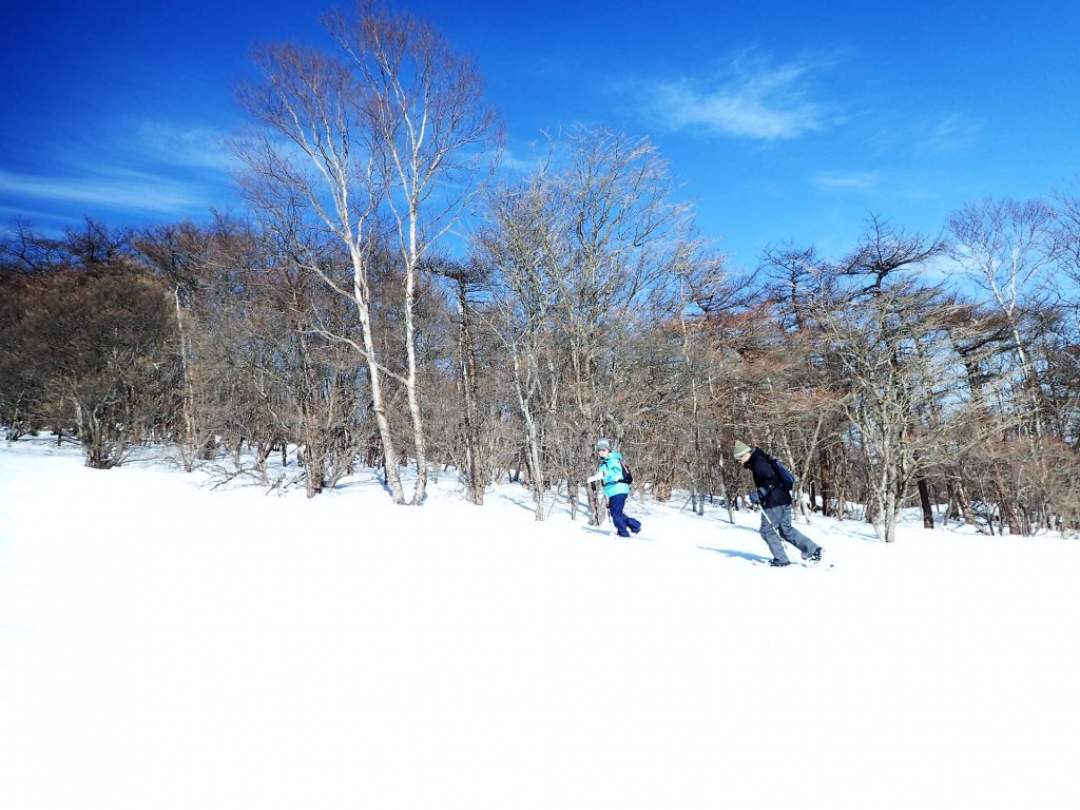 真っ白な雪原と青い空！この組み合わせ最高♪
