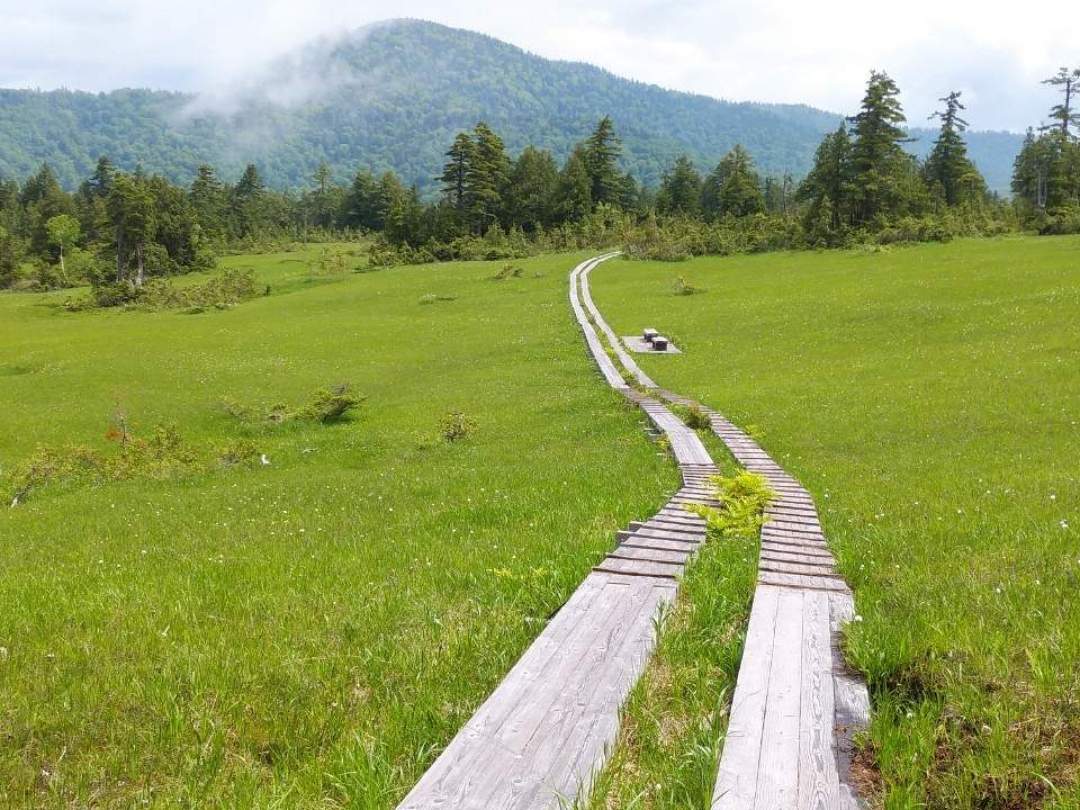 小さな湿原が点在する山道を進みます。