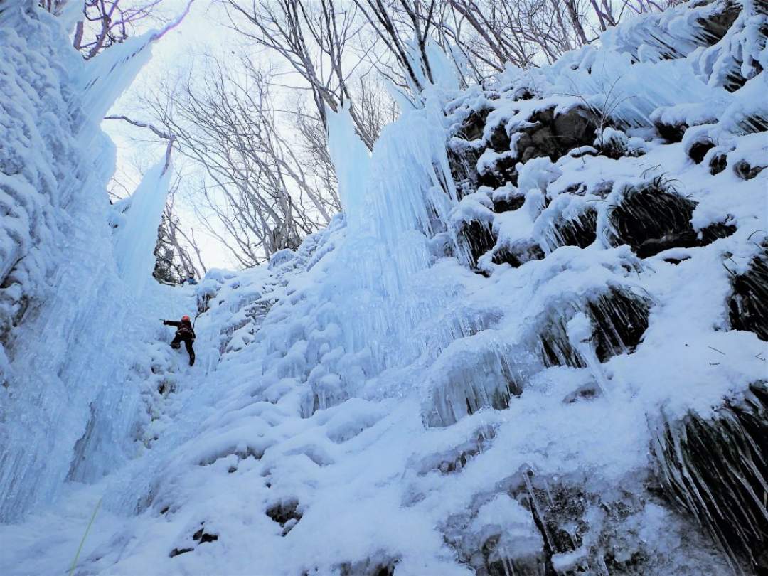 慣れてきたら中上級25mの氷壁へトライ！圧巻です！