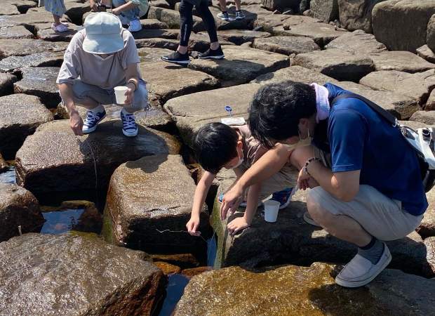 【福島県相馬市松川浦】磯ガニ釣り、ちびっ子大興奮！