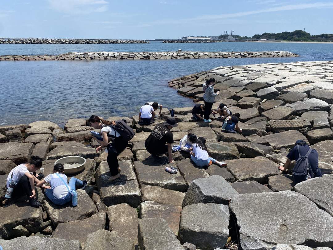 【福島県相馬市松川浦】磯ガニ釣り、ちびっ子大興奮！