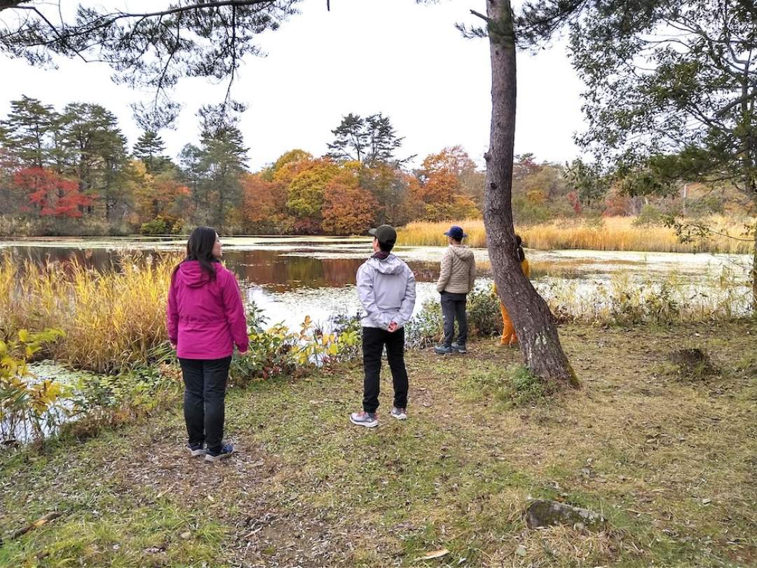 【福島・裏磐梯】レンゲ沼・中瀬沼探勝路を歩く、森の健康散歩。