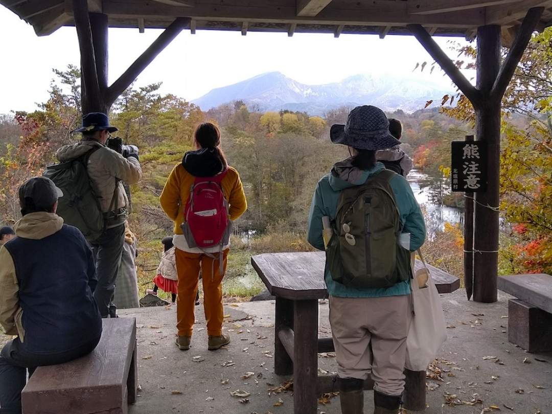 【福島・裏磐梯】レンゲ沼・中瀬沼探勝路を歩く、森の健康散歩。