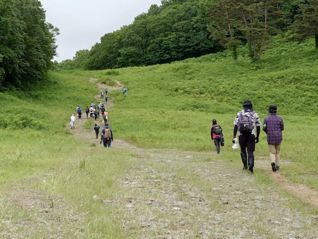 【福島・裏磐梯】外来植物セミナー「コウリンタンポポ 防除大作戦 ㏌ 裏磐梯スキー場（特別保護地区外）」