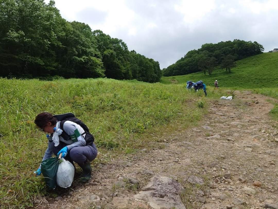 【福島・裏磐梯】外来植物セミナー「コウリンタンポポ 防除大作戦 ㏌ 裏磐梯スキー場（特別保護地区外）」