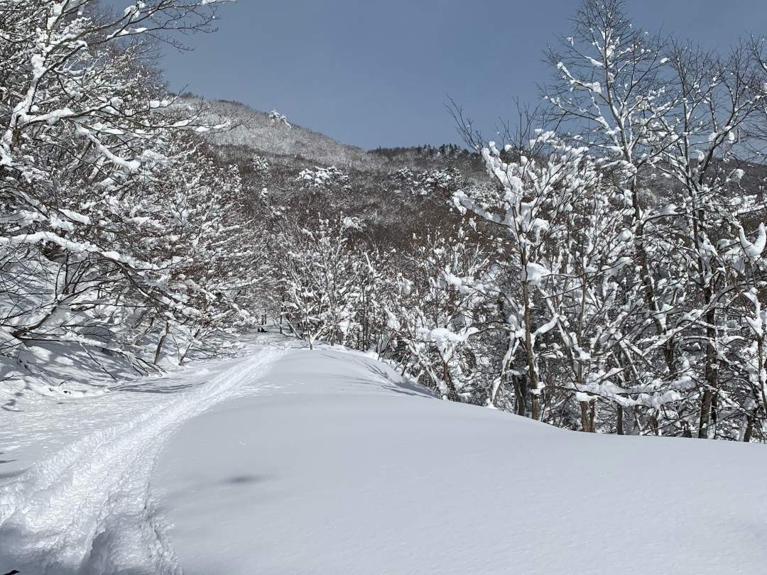 奥会津の絶景を望む尻吹（しりふき）峠でスノーシューツアー！