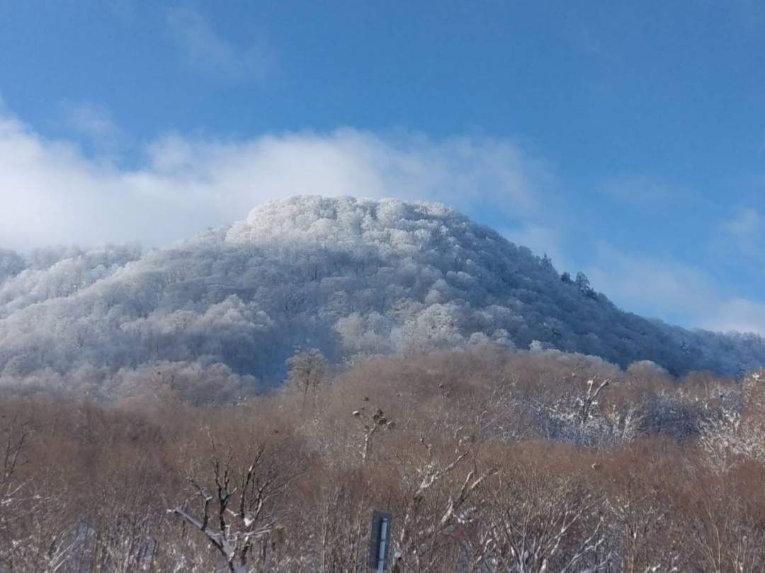 林道沿いに進む舟鼻山は、途中に御前ヶ岳など見られるナイスロケーション！