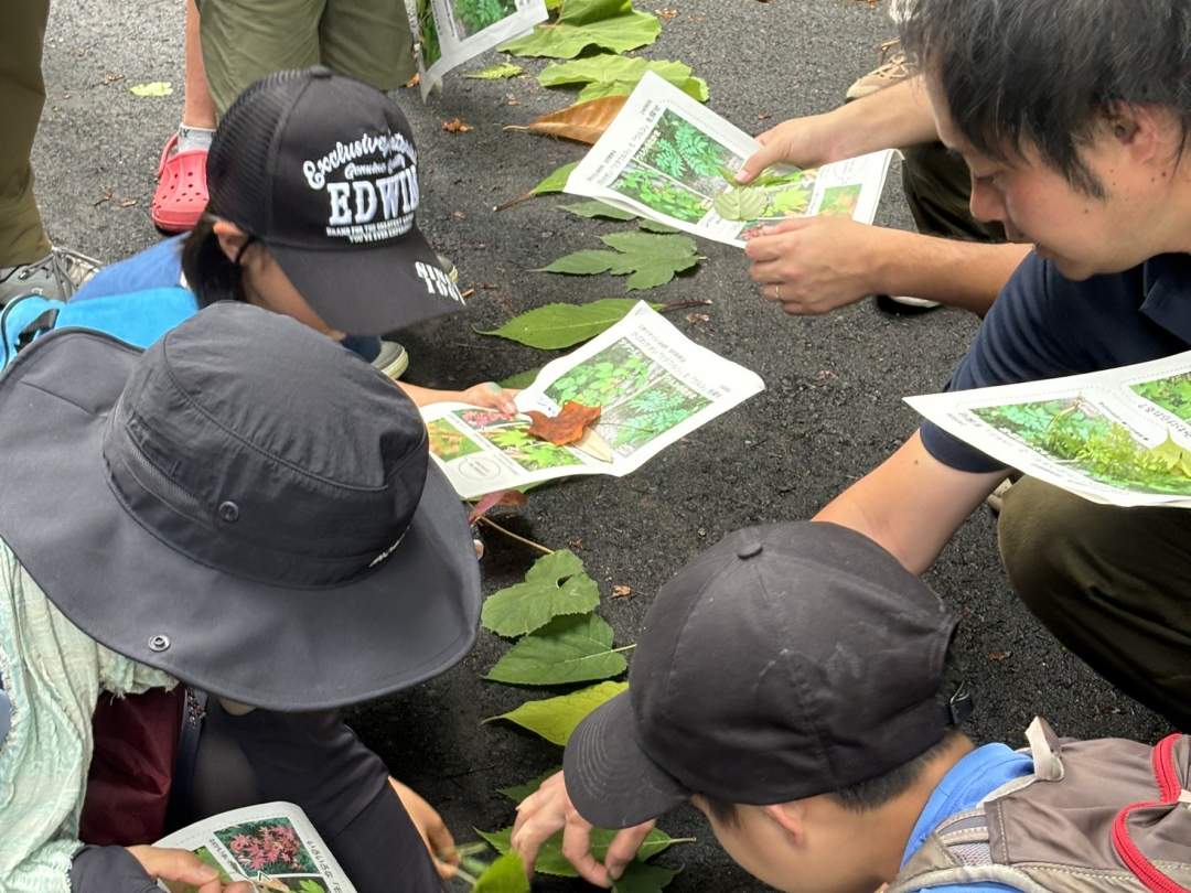 色々な植物を手に取って、並べてみれば自然のアートが出来上がり。