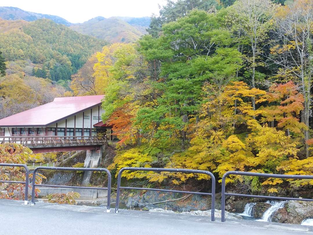 駐車場完備、こじんまりした公園内に森や川や展望台などギュッと詰まっています。