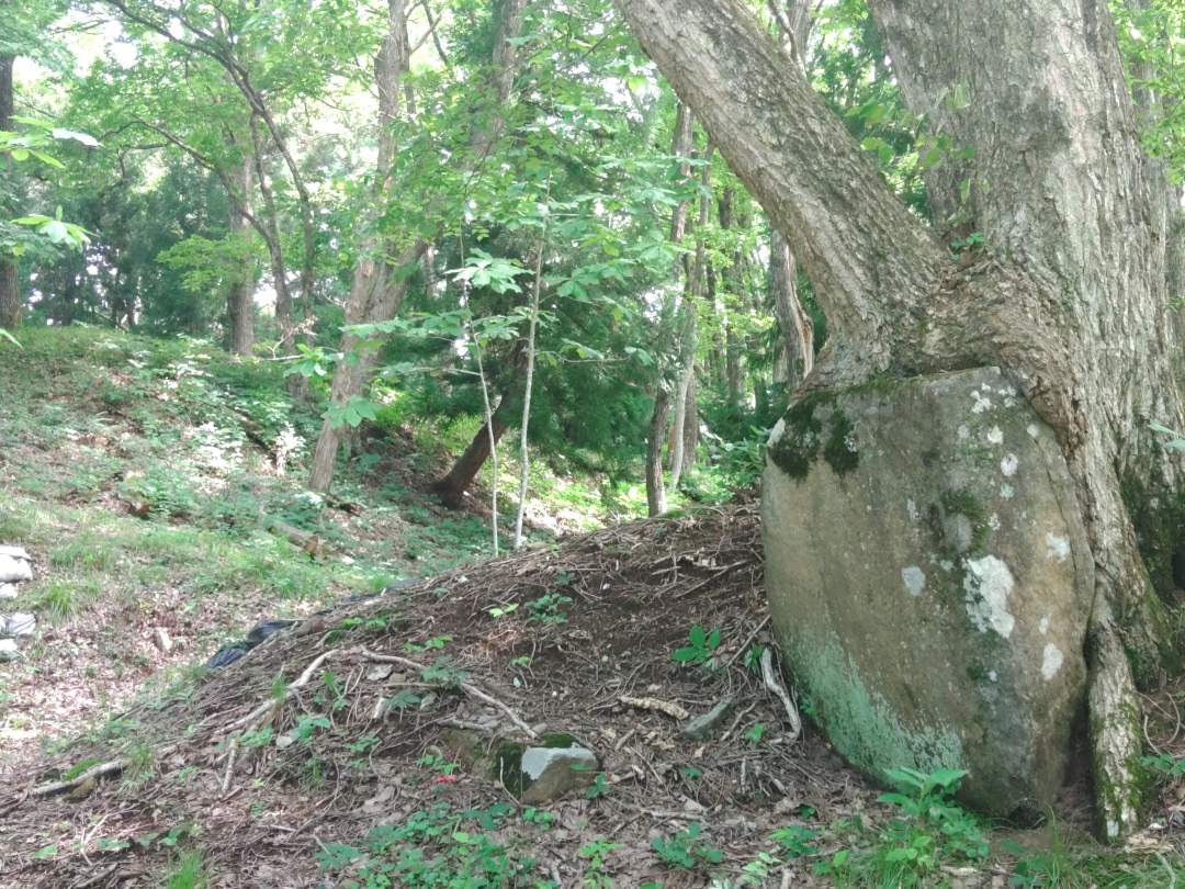 【福島・裏磐梯】磐梯の宝発見講座！米沢街道を歩く！「兵どもが夢の跡」バスツアー！