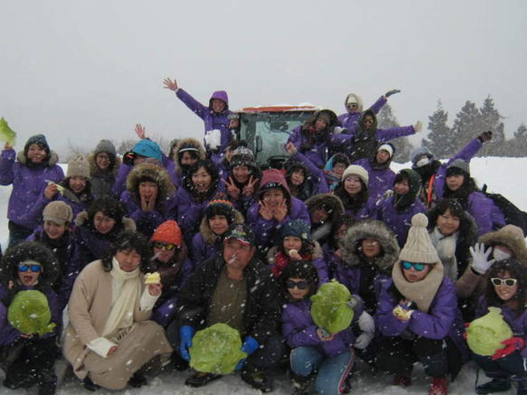 雪の下の宝探し！ 甘々の雪堀キャベツの収穫体験