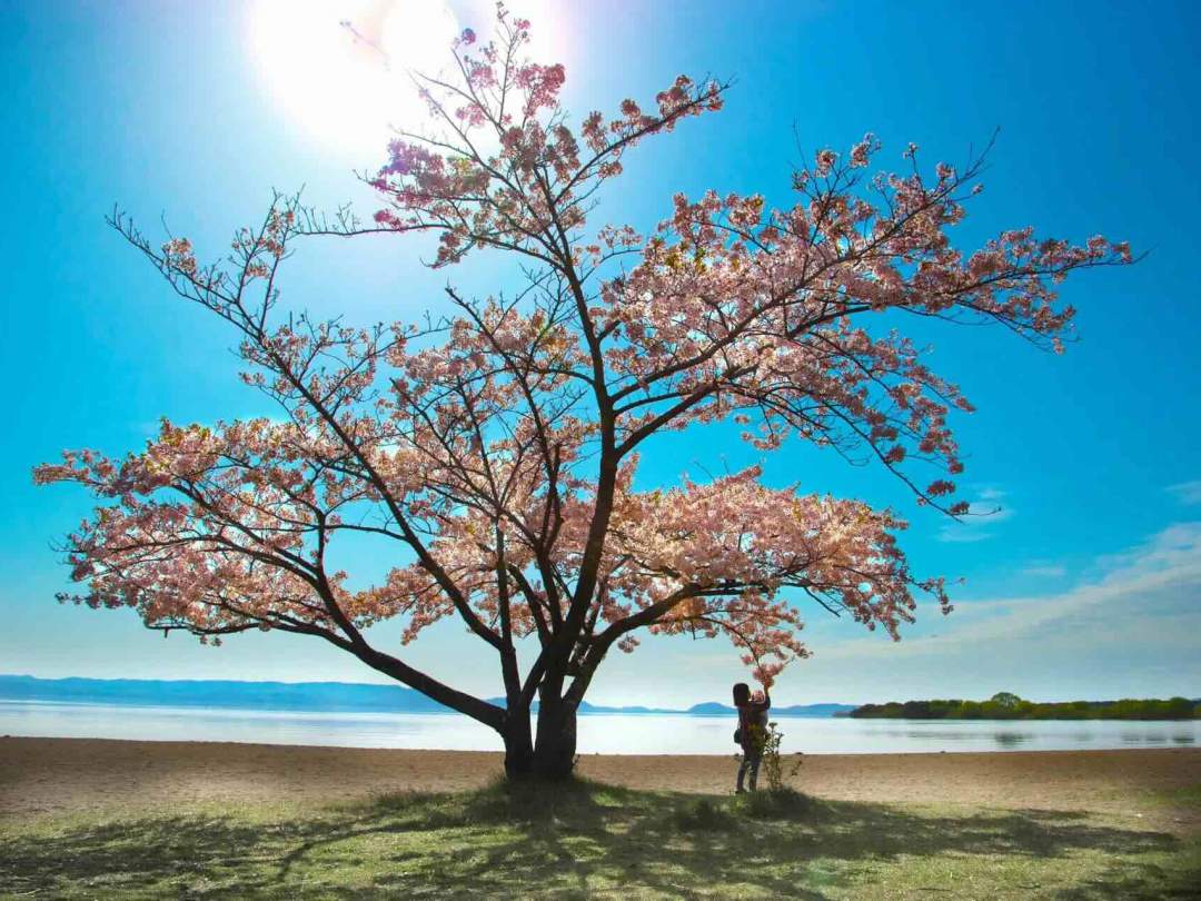 【福島・猪苗代】電動キックボードレンタルプラン♪ 絶景・観光スポットを気軽で便利に！