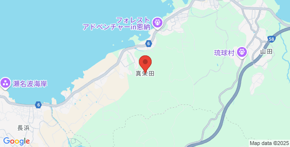 沖縄 恩納村 1歳からの青の洞窟シュノーケル コロナ対策優良店 電解水生成装置導入 1組貸切 写真動画 エサ無料の予約 ピンクマーメイド 沖縄県西海岸 東海岸 シェアベースマッチング 地域の体験とイベント予約 商品の直売サイト
