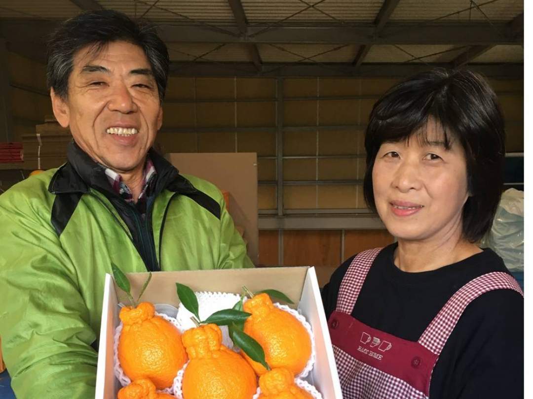 山崎　尊宏