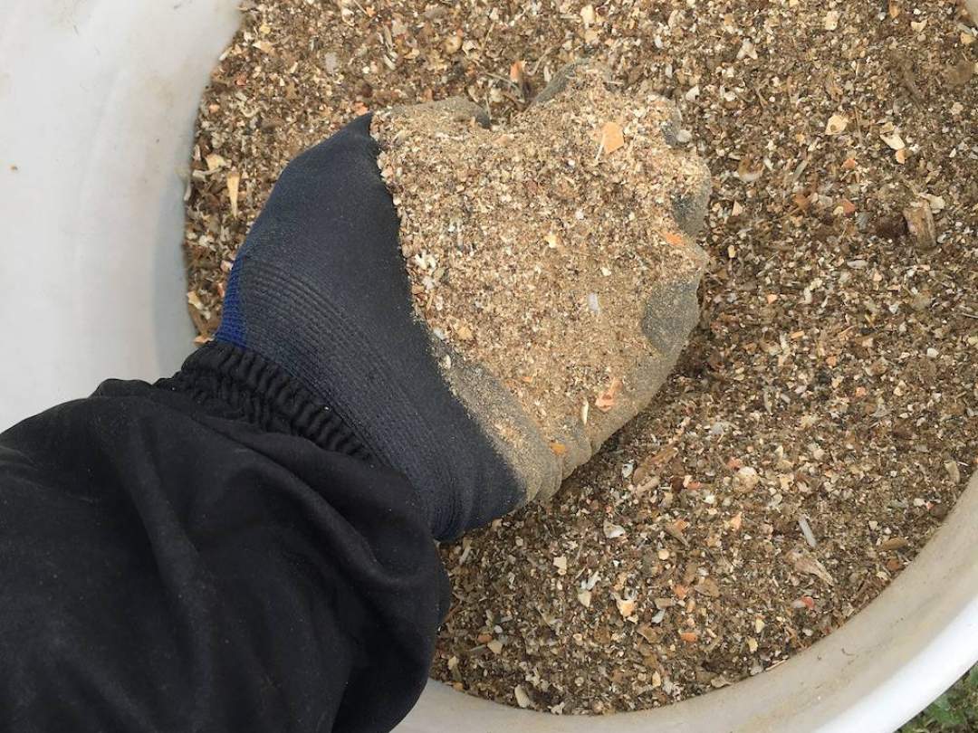 アルギットは、ノルウェー原産の海藻です。
ノルウェーの海岸と言えば氷河によって侵食されたフィヨルドという地形を思い浮かべる方も多いと思います。
アルギットはフィヨルドによって形成された水深1〜2ｍ付近の岩礁に繁茂しています。

ノルウェーは北極圏をまたぐ国であり、夏は一日中太陽が沈まない“白夜”の時期と、
逆に冬場は一日中太陽が登らない“極夜”の時期があります。

そんな環境のもと、アルギットは大地から流れ込む豊富な栄養と陽の光を浴びてエネルギーを蓄え、
凍てつく寒さの中でもしっかりと耐え凌ぎながら成長していきます。
アルギットは強い生命力を持った海藻です。

アルギットにはミネラル、ビタミンなど“60種類以上”の成分が含まれていると言われており、
ノルウェーでは古くから肥料や飼料として利用されています。