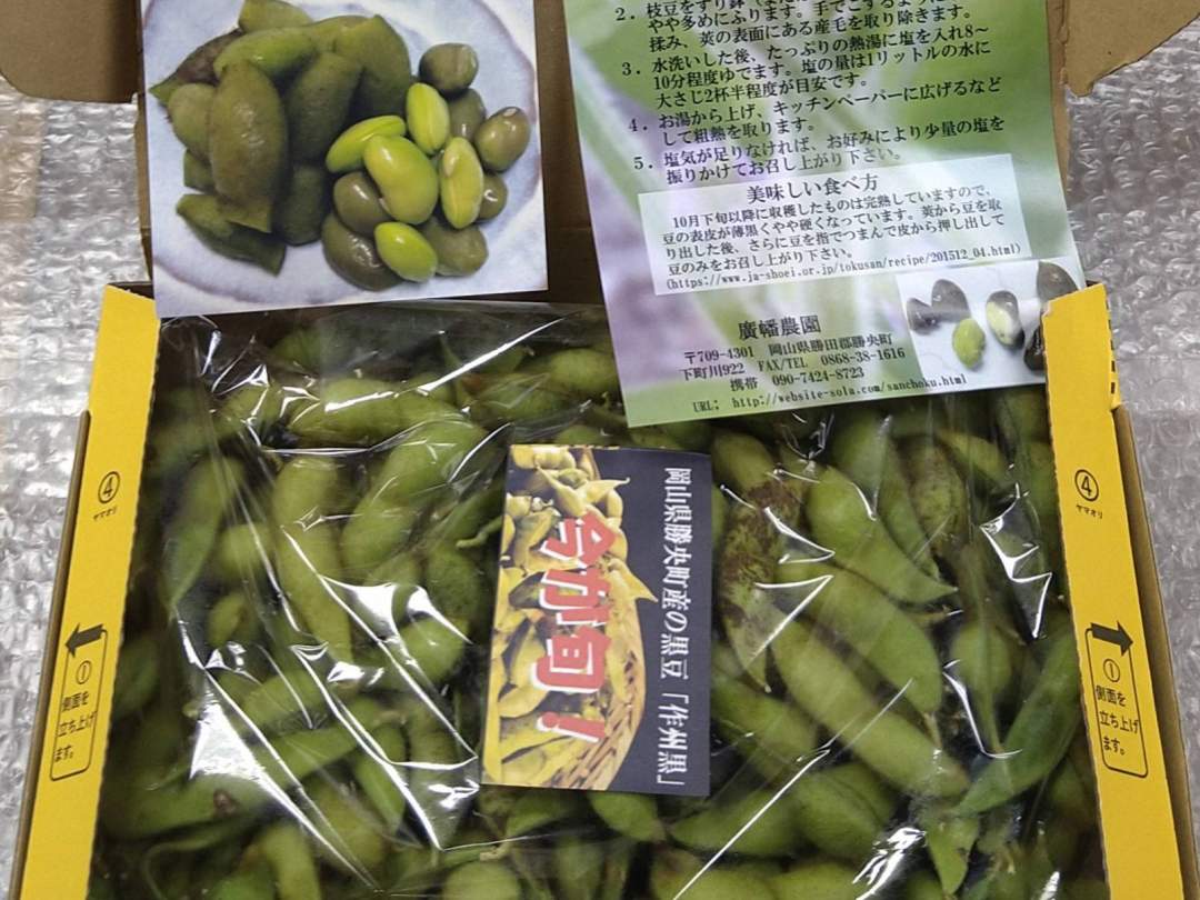 大サヤ黒大豆枝豆1㎏（丹波種） 収獲翌日にお届け、土の香りが残るほどの鮮度をお楽しみください。