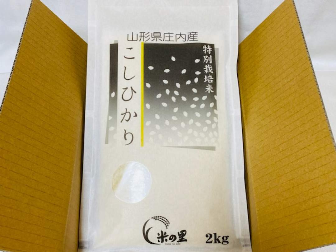 段ボール箱に入れてお届けします。