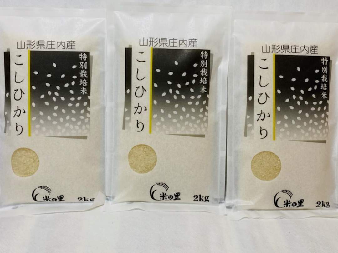 山形県　庄内産　特別栽培米　コシヒカリ　６ｋｇ（２ｋｇ×３袋）（白米）