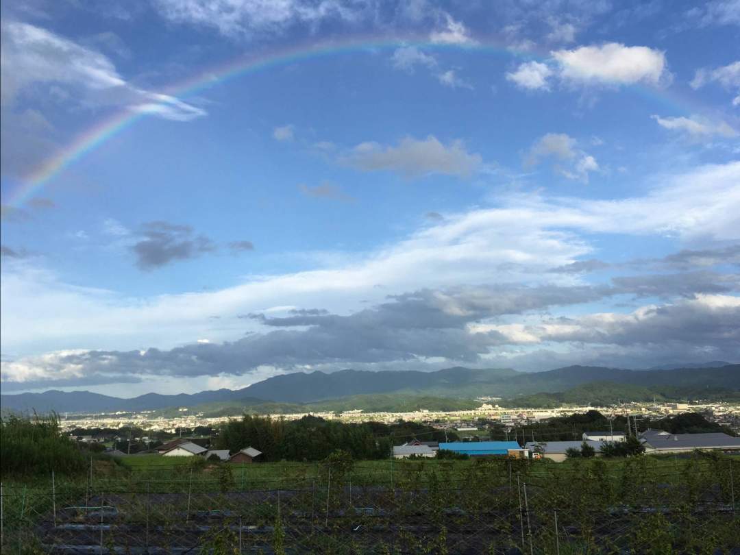 葛城山麓農園