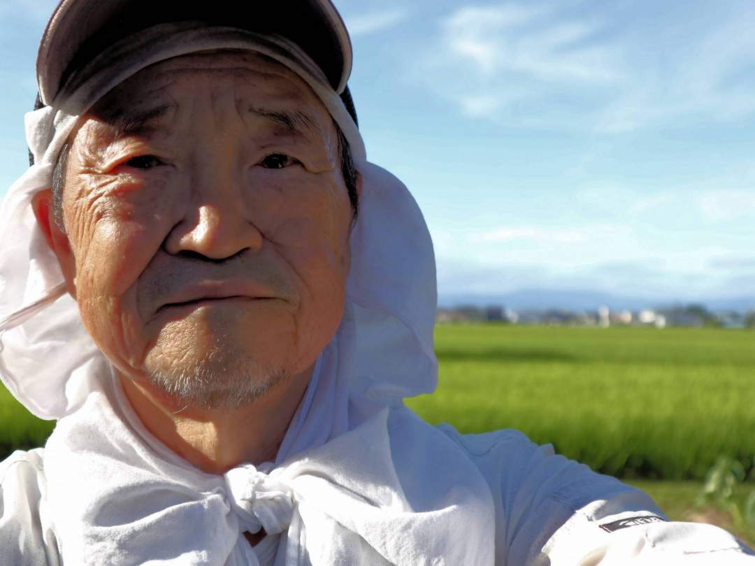 加藤政司
