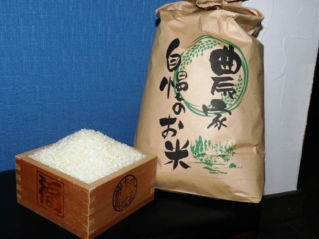 会津こしひかり（精白米）5kg