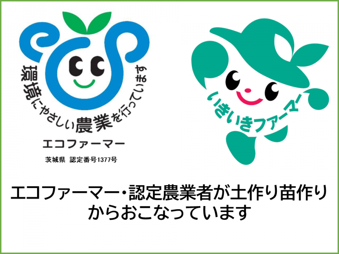 土作り苗作りそして栽培方法にこだわった生産者が安心安全を第一に丁寧に育てたお米を販売しています。
農家直送のお米ですが農産物検査を受け、色彩選別機で不要なものを取り除いたお米です。