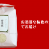 お洒落な桜色のクラフト袋