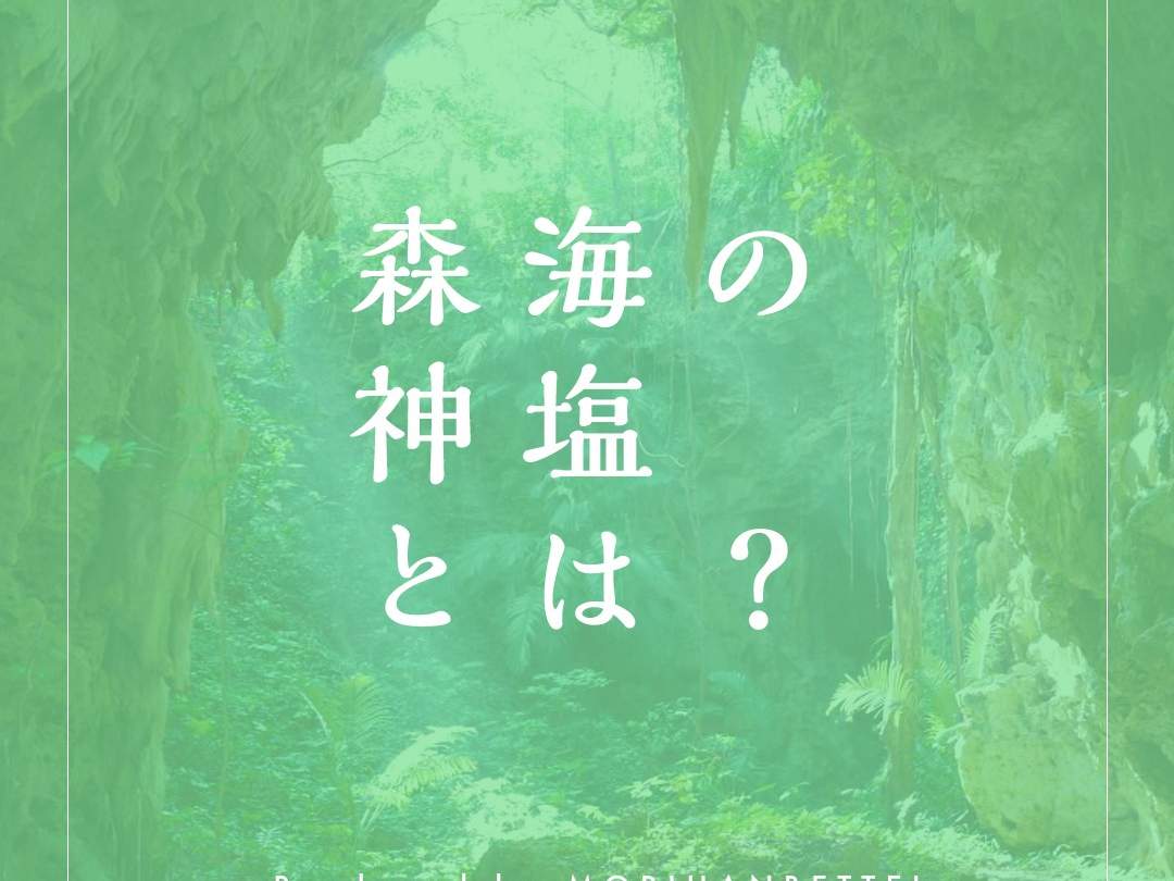 森海の神塩 [ 日本山人参 + 健康 塩 ミネラル 天然塩 卓上塩 ] 50g